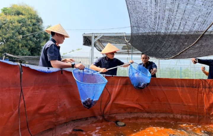 Foto pada laporan FaktaNusa: Bekal Produktif di Lapas Balikpapan, Warga Binaan Panen Melon dan Lele